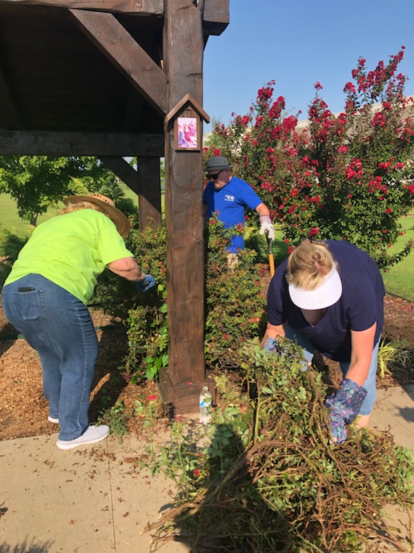 Hall Estill volunteers clearing out brush