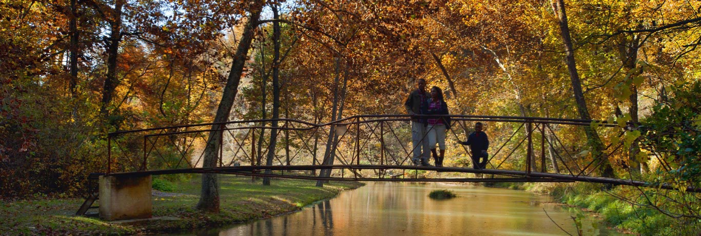 Scenic fall day family on bridge overlooking a creek